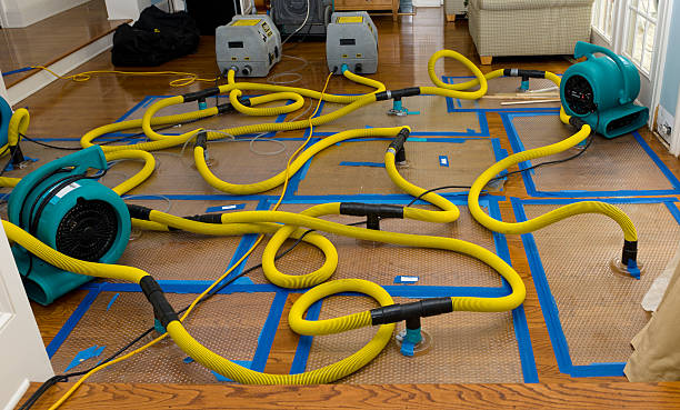 Professional Water Damage Repair technician working in Jacks Creek, TN